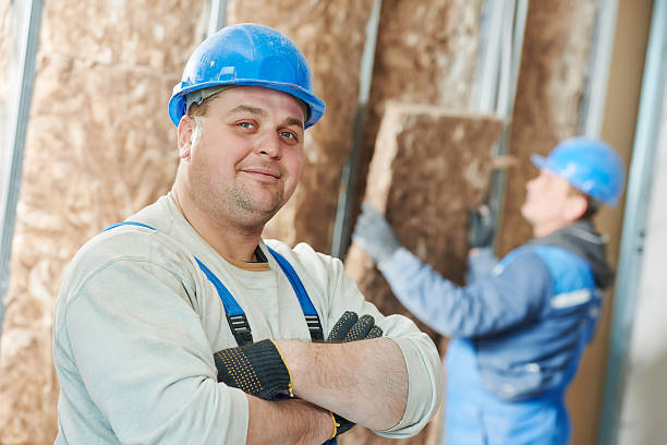 Best Affordable Insulation Services  in Lake Ridge, VA